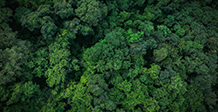 Sustainable Investing: The 3 things that matter most